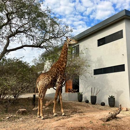 Birdsong Kruger Villa Marloth Park Ngoại thất bức ảnh