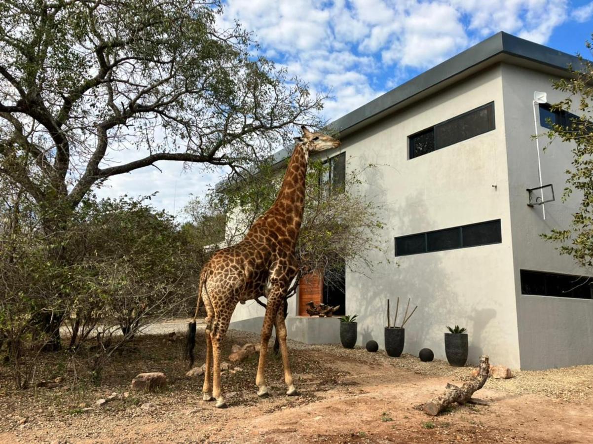 Birdsong Kruger Villa Marloth Park Ngoại thất bức ảnh